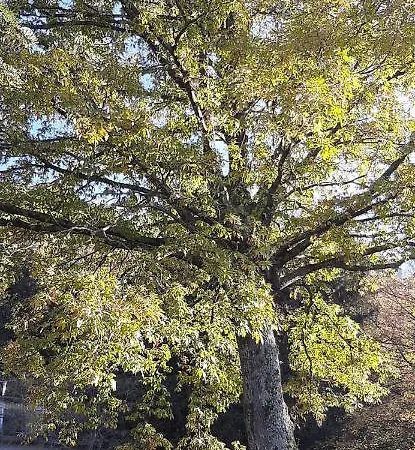 Σπίτι διακοπών Casetta Di Bismantova Castelnovo ne' Monti